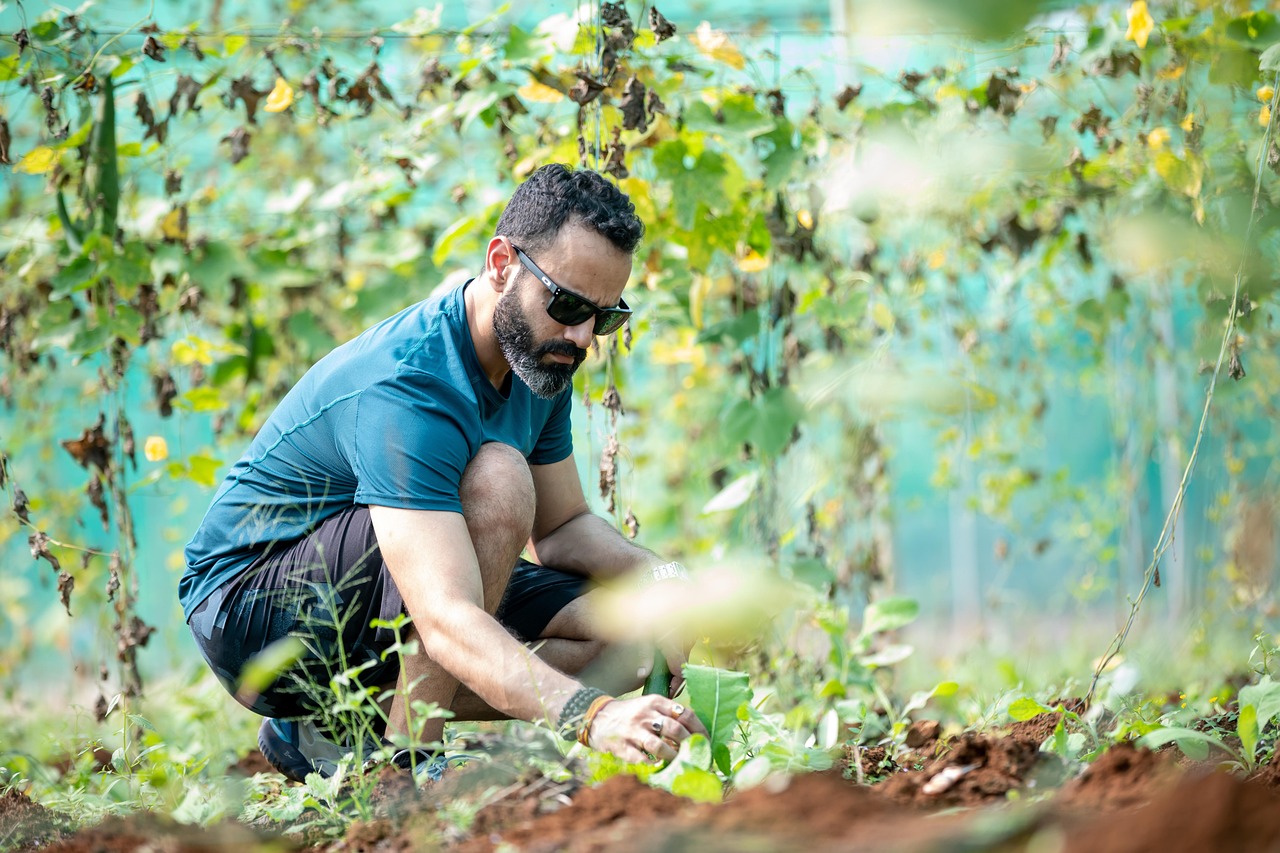 agriculture, man, farmer, gardener, male, farmer, farmer, farmer, farmer, farmer, gardener, gardener-6942153.jpg