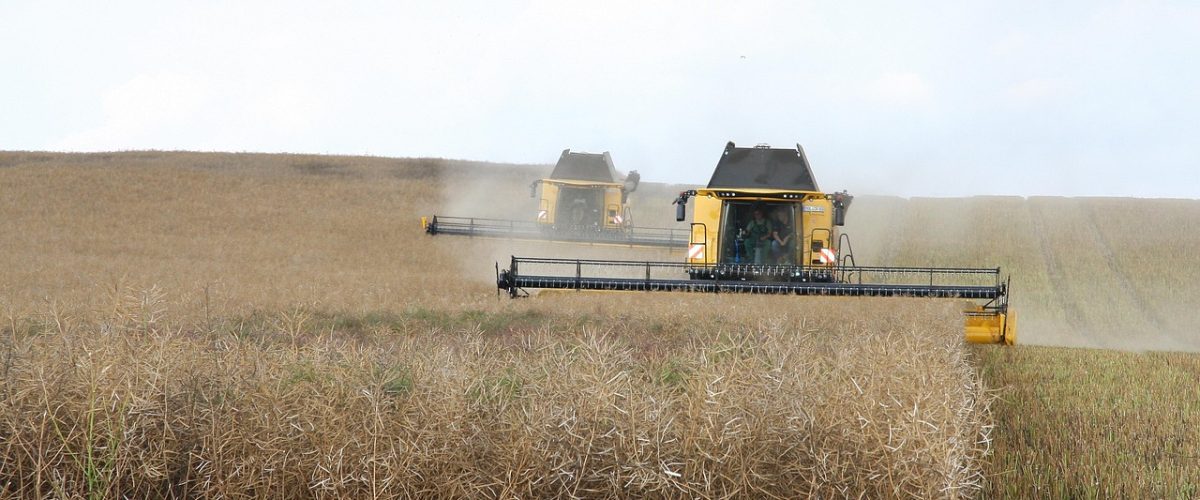 mower-oilseed-rape-agriculture-landscape-farm-field-agriculture-agriculture-agriculture-agriculture-agriculture-7956264 mower, oilseed rape, agriculture, landscape, farm, field, agriculture, agriculture, agriculture, agriculture, agriculture-7956264.jpg